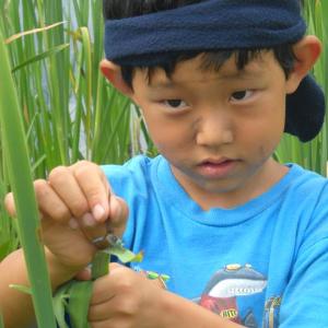 Learning to carefully capture and release insects is just one of the skills participants will learn at the upcoming DRA “Insect Safari” class for preschool-age children. Courtesy of the DRA Learning to carefully capture and release insects is just one of the skills participants will learn at the upcoming DRA “Insect Safari” class for preschool-age children. Courtesy of the DRA