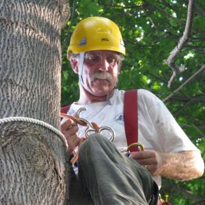 Thomas Hoerth, the City of Bath’s arborist and tree warden. Thomas Hoerth, the City of Bath’s arborist and tree warden.