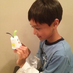 Gavin Albert made his own “Clucking Chicken” to learn about sound vibrations and sounding boards. Courtesy of Seeds of Knowledge Gavin Albert made his own “Clucking Chicken” to learn about sound vibrations and sounding boards. Courtesy of Seeds of Knowledge