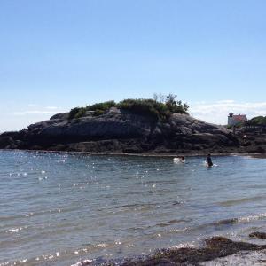 Kitten Island off Southport is one of the cutest places in the Boothbay region.  RYAN LEIGHTON/ Boothbay Register