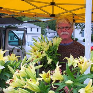 Jim Mercer of Sheepscot Flower Farm with his lillies. SUZI THAYER/Boothbay Register Jim Mercer of Sheepscot Flower Farm with his lillies. SUZI THAYER/Boothbay Register