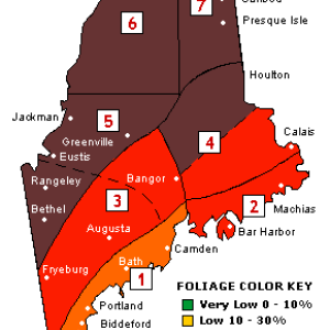 Current foliage conditions in Maine. Courtesy of the Maine Office of Tourism Current foliage conditions in Maine. Courtesy of the Maine Office of Tourism