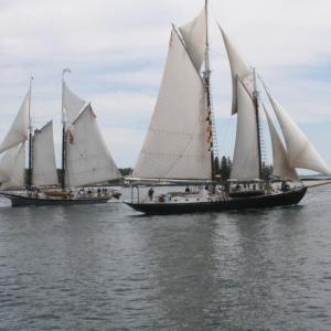 A scene from Windjammer Days past. File photo