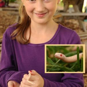 Natalie Bisset of Jefferson holds the albino snake she found at the Damariscotta River Association during a fall school program. Courtesy of the DRA Albino snake found