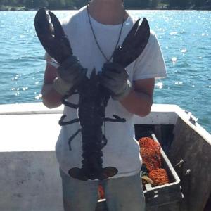 Photo of Andrew Goode and lobster