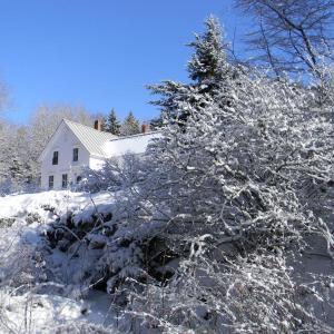 Snow