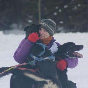 musher sled dogs Heidi Sutter Alaska