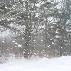 snow blowing snow snowstorm Alna Maine