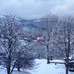 Camden Harbor, January 2014. Cold! (Photo by Lynda Clancy)