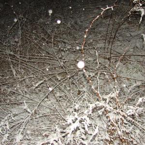 snow Alna