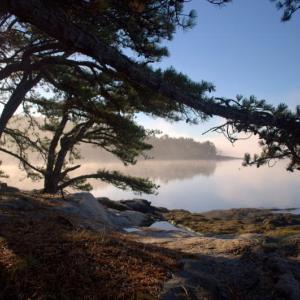 View from Kennebec Estuary Land Trust's Bonyun Preserve on Westport Island, one of the newly accredited land trust's nine preserves open to the public. Courtesy of Archie Bonyun Westport Island