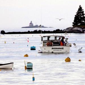 lobstermen working