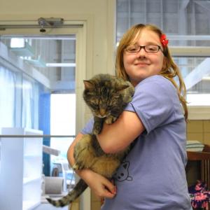 animal shelter cat fundraiser