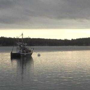 maine lobster lobsterboat