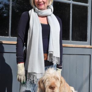 flowers new business newcastle maine spinone