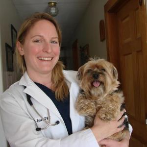 Veterinarian Frannie Allan holds Ragamuffin during the dog’s visit to Woodbrook Animal Clinic in Wiscasset. SUSAN JOHNS/Wiscasset Newspaper Frannie Allan