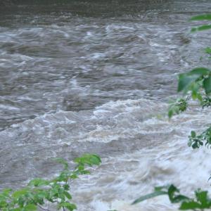 Sheepscot River, Tropical Storm Arthur