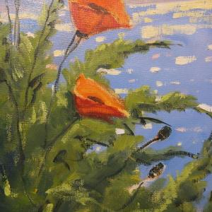 "Poppies by the Sea" Brad Betts