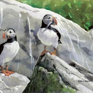 "Burrow Sentry," watercolor by Steve Hamlin. Burrow Sentry, watercolor by Steve Hamlin