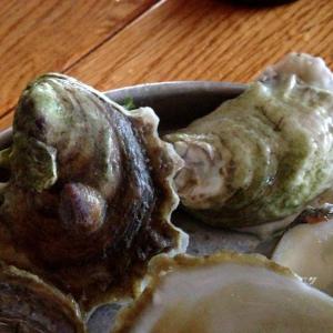 Glidden Point Oyster's Ledges