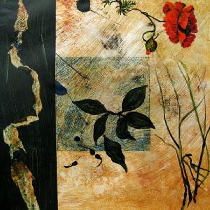 Ed McCartan