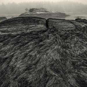 David Wolk photograph