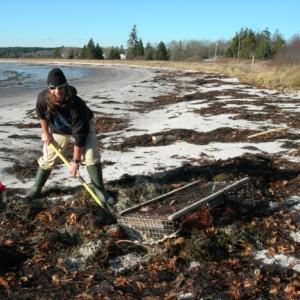 Pemaquid Beach is the site of a Coastal Cleanup on Friday, Sept. 26, 9 a.m. to 1 p.m. Courtesy of Darling Marine Center