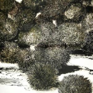"Sea Urchins," woodcut, 58 by 48-inch by R. Keith Rendall, Rendall Fine Art, Wiscasset. Courtesy of Robyn Holman/Atrium Art Gallery "Sea Urchins," R. Keith Rendall