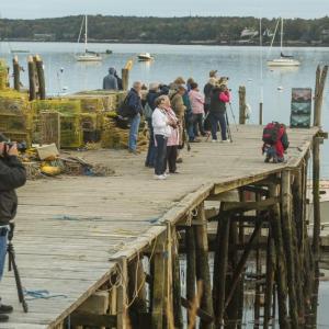 Participants in the 2013 Photo Walk shoot some scenes from a wharf on the east side of Boothbay Harbor. Courtesy of Michael Leonard
