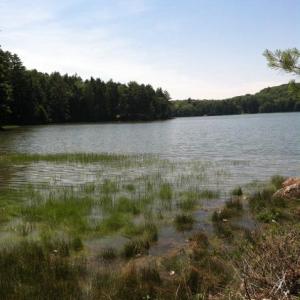 In a few short weeks, visitors to the Cross River Preserve will finally have easy, walkable access to the water. Courtesy of Boothbay Region Land Trust