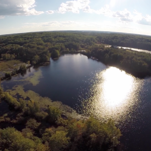 Photo of Adams Pond