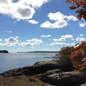 Bright fall skies and turning leaves at Porter Preserve, Barters Island. Vote for your favorite photos of the season in the Boothbay Register/Wiscasset Newspaper’s Best Fall Photo contest, which ends Nov. 2. Courtesy of Lynn Wilson