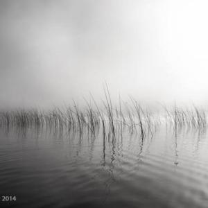 This untitled piece is by Amy Durocher of Whitefield. (Untitled) Reeds, Amy Durocher