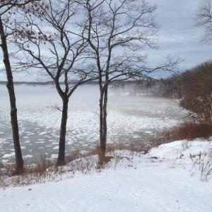 Photo snowy coastline