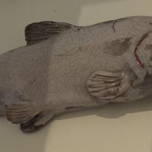 Sharon Townshend’s “!7” Trout” composd of potbuoy