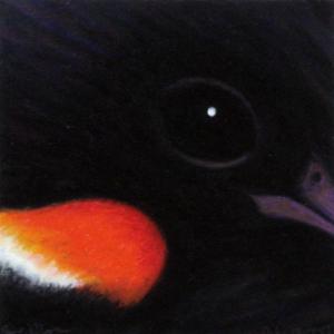 Paul Plante’s“Red Winged Blackbird”