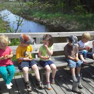 The Healthy Kids playgroups from Damariscotta and Boothbay enjoy some apples at the Penny Lake Preserve in Boothbay Harbor during a summertime field trip. Courtesy of Healthy Kids