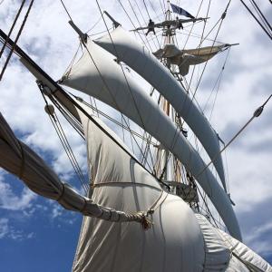 The Charles W. Morgan sailing in Cape Cod Bay. Ryan Leighton, the ship’s “official stowaway” documented the voyage this past summer. Courtesy of Mystic Seaport