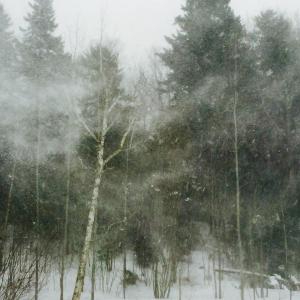 The majestic awesomeness of a blizzard rages outside while most people in the region watched from the safety and warmth of their homes on Tuesday, Jan. 27. SUZI THAYER/Boothbay Register
