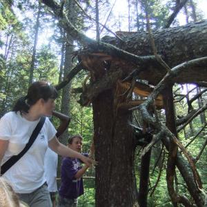 photo of outdoor hike