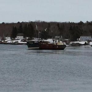 The Columbia sits after running aground March 18 near Pemaquid. BEN BULKELEY/Wiscasset Newspaper