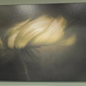 Kathleen Clemons’ “Windblown Rudbeckia”