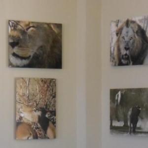 Kelly P. Brook’s African images