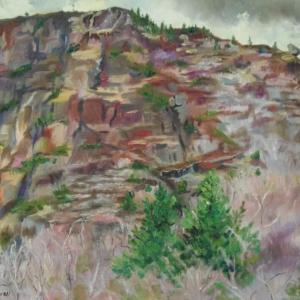 “Bubble Rock,” one of two works by Teddi Jann Covell of Orono in The Natural World exhibition at River Arts Gallery. Teddi Jann Covell