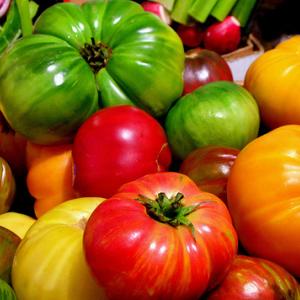 The Annual Morris Farm Community Plant Sale on May 30 will offer 17 varieties of heirloom tomatoes as well as hardy Maine-grown perennials. Courtesy of Morris Farm