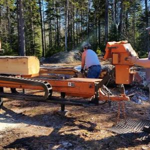 Richard Hatch and John Donahue of Hatch Wood Products sawmilling white pines at Coastal Maine Botanical Gardens. Courtesy of Tory Paxson