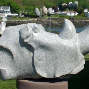 Rhino by Don J Meserve at Studio 53
