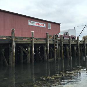 Atlantic Edge Lobster sits entirely on the town-owned Fish Pier; 17 of the pilings directly underneath the building will be replaced by Fuller Marine at a cost of $37,400 to the town of Boothbay Harbor. KATRINA CLARK/Boothbay Register