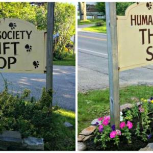 The before and after of the Humane Society Thrift Shop’s sign flower bed. Courtesy of Mike Tomko