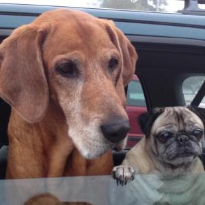 Photo of Buster and Mabel